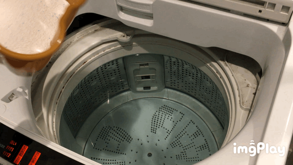 洗濯槽掃除のやり方 洗剤